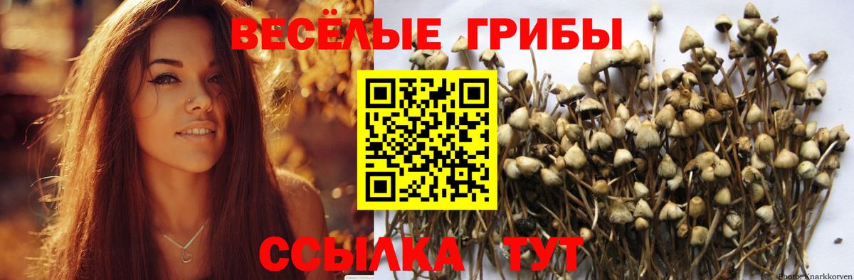 Галлюциногенные грибы MAGIC MUSHROOMS Магнитогорск